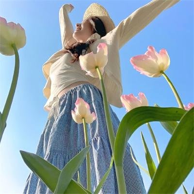 钢铁苍穹2:即临种族